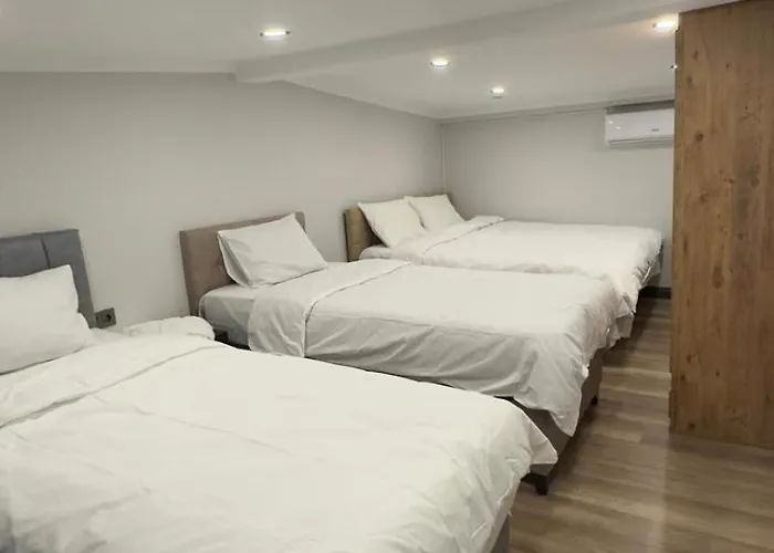 Oeztatli 아파트 *